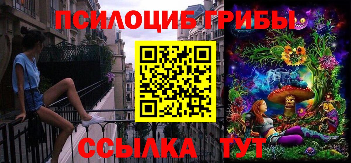 Галлюциногенные грибы прущие грибы  Вход с VPN  Железногорск 